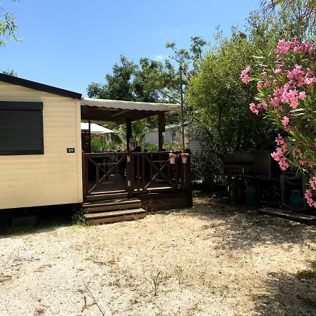 Hotel Comping Le Clos Du Thym Argelès-sur-Mer Exterior foto